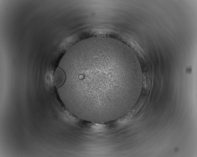 X0000103310718200808291429