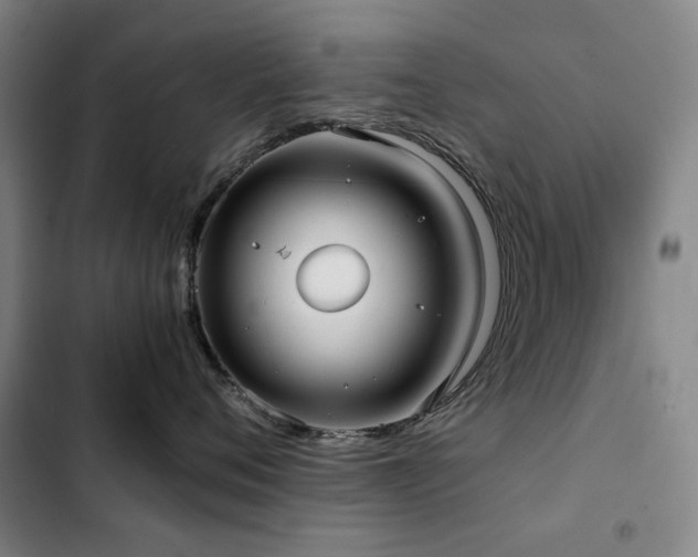 X0000103310720200808291429