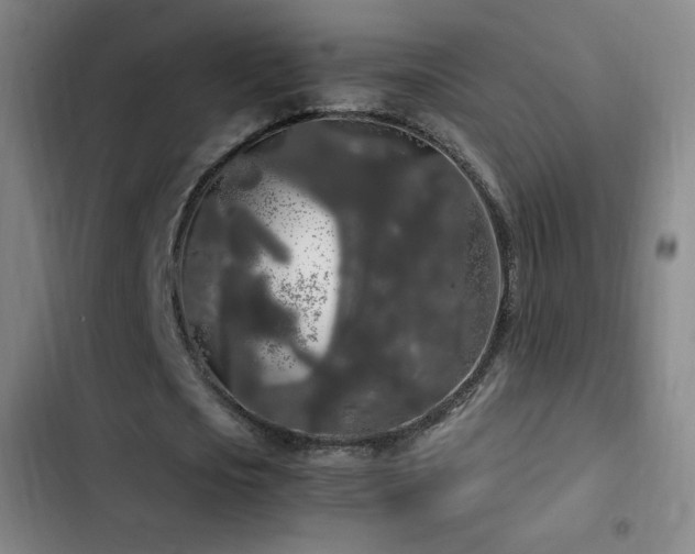 X0000103310721200808291428