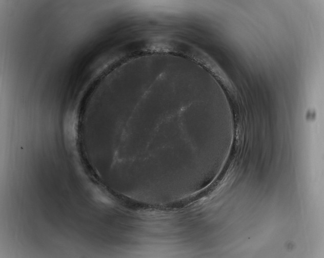 X0000103310722200808291428
