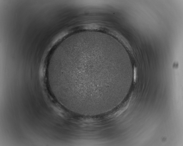X0000103310723200808291428
