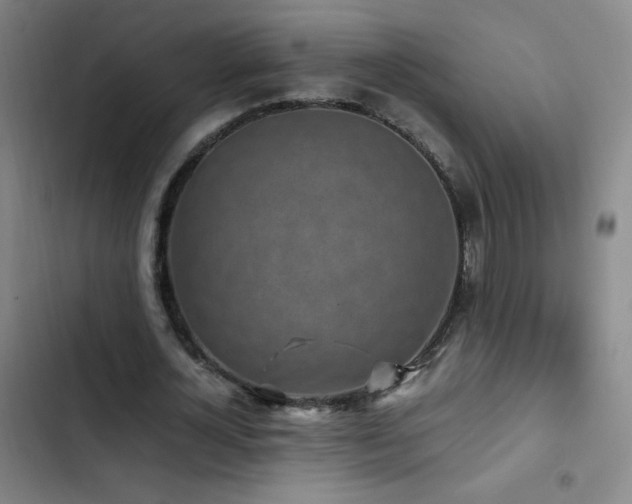 X0000103310724200808291428