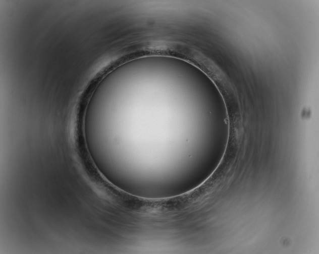 X0000103310728200808291428
