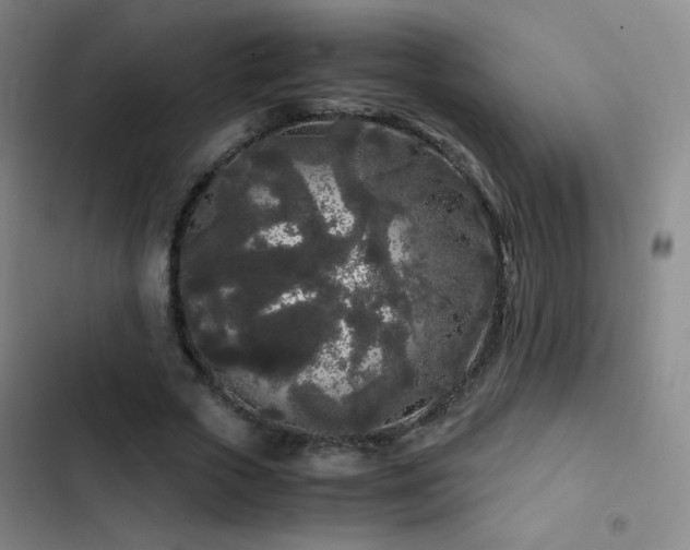 X0000103310729200808291428