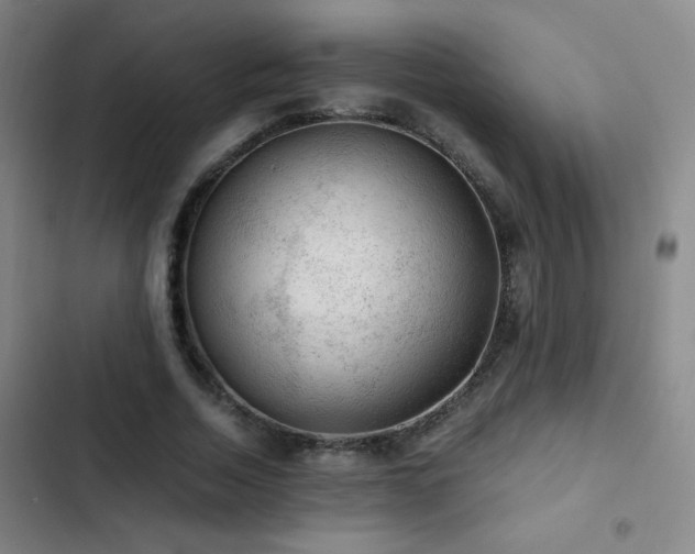 X0000103310730200808291428