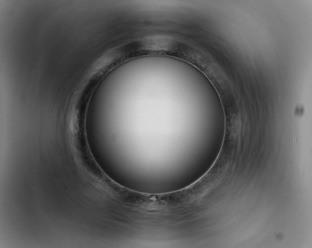 X0000103310731200808291428