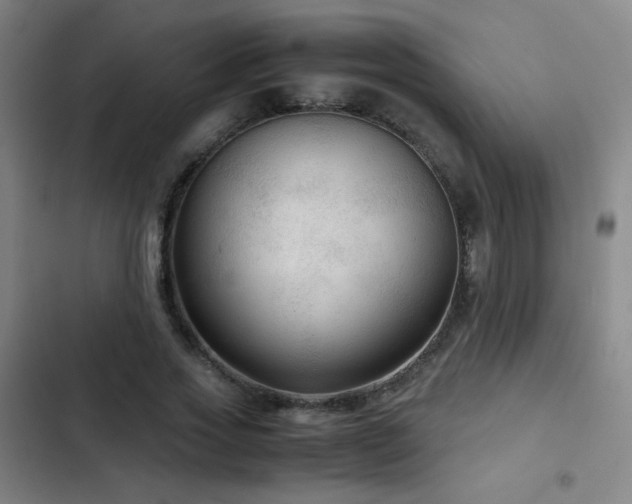 X0000103310733200808291428