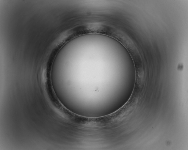 X0000103310734200808291428