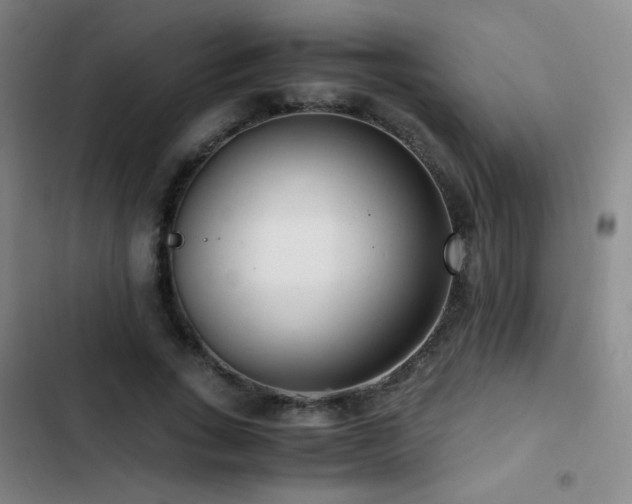 X0000103310735200808291428