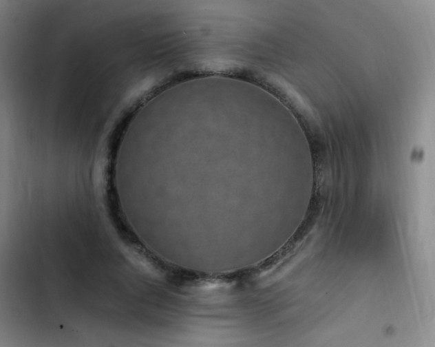X0000103310736200808291428