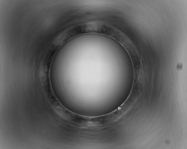 X0000103310737200808291428