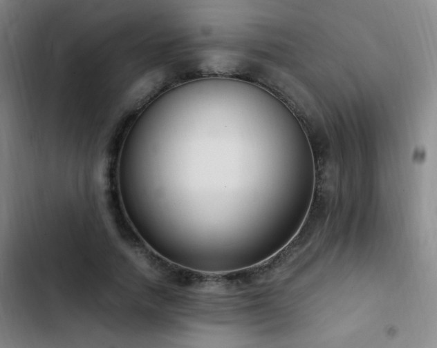 X0000103310738200808291428