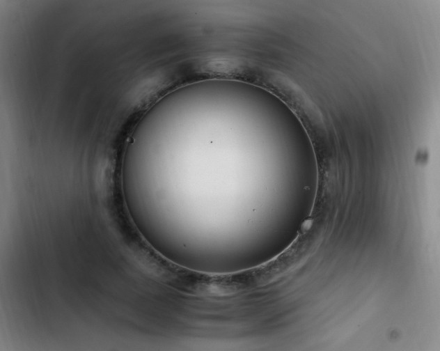 X0000103310739200808291428