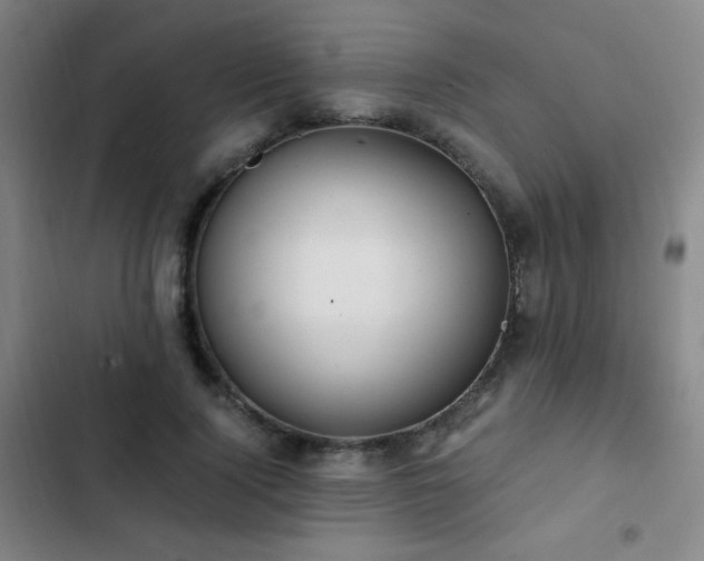 X0000103310740200808291428