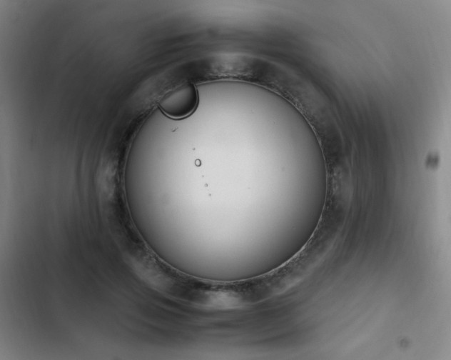 X0000103310741200808291428