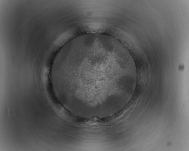 X0000103310742200808291428