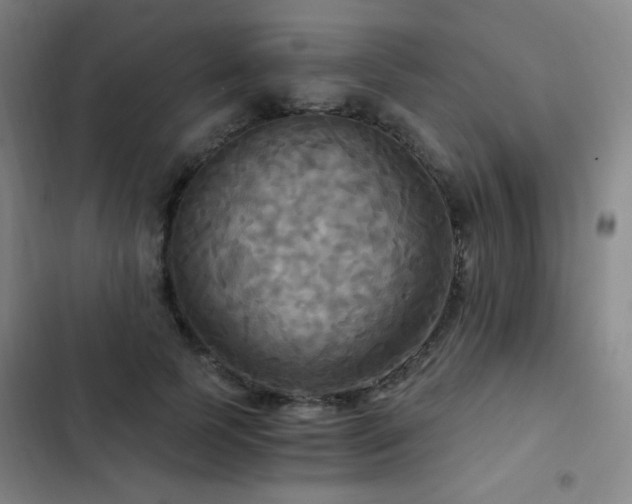 X0000103310745200808291428