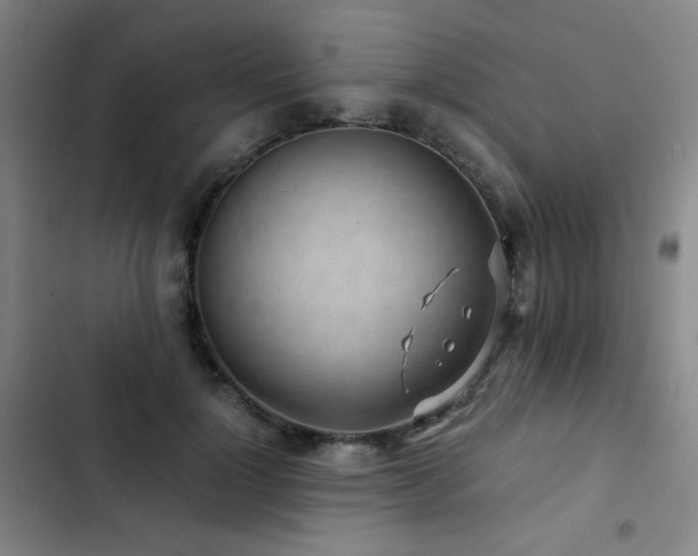 X0000103310748200808291429