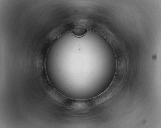 X0000103310749200808291429