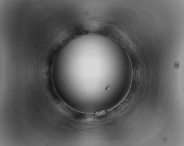 X0000103310750200808291429