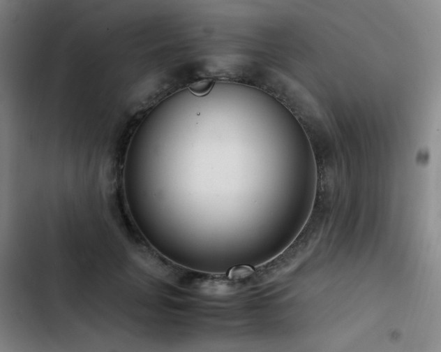 X0000103310751200808291429