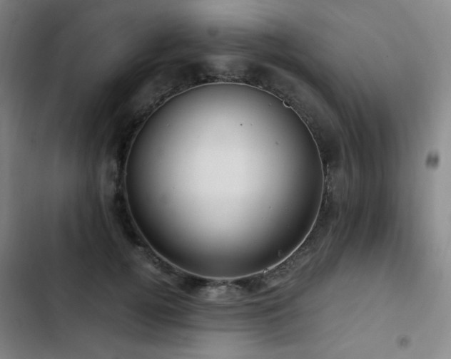 X0000103310752200808291429
