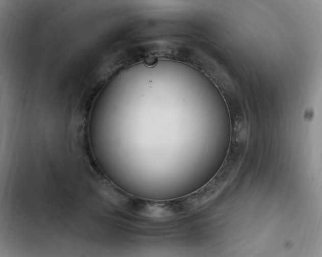 X0000103310753200808291429