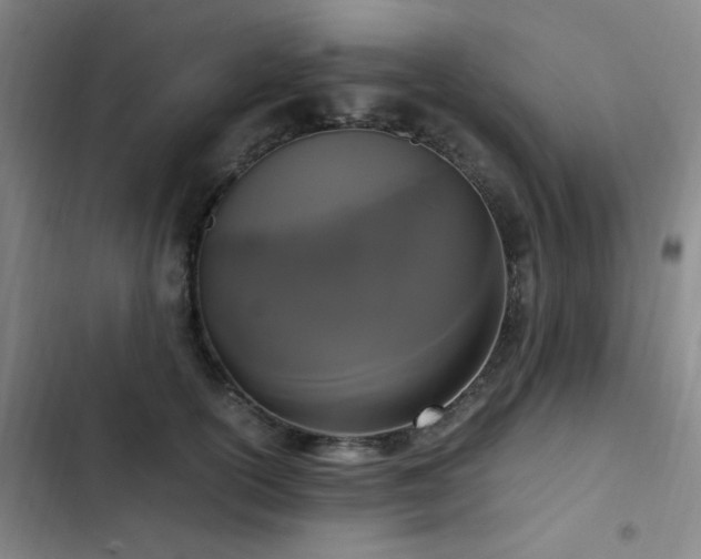 X0000103310754200808291429