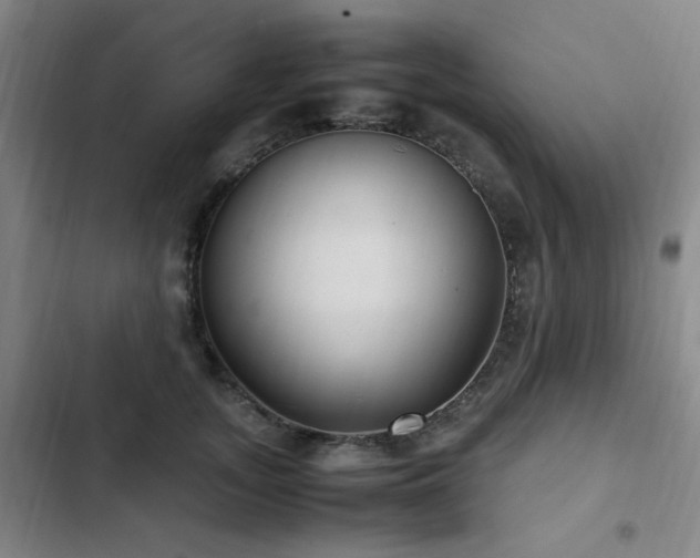 X0000103310755200808291429
