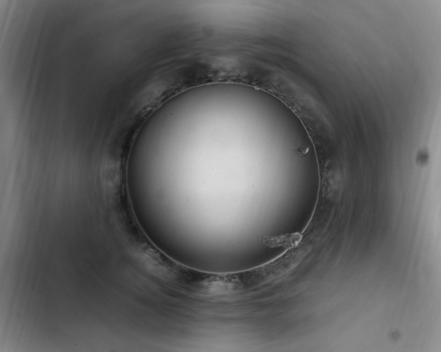 X0000103310756200808291429