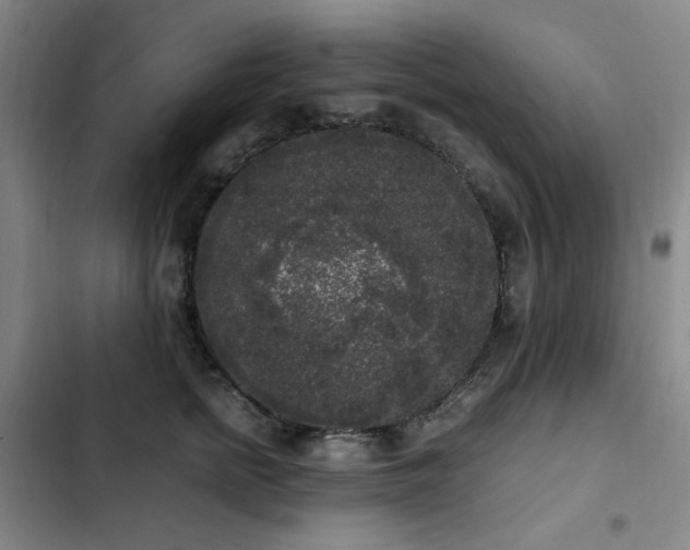 X0000103310758200808291429