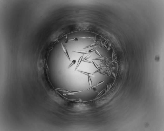 X0000103310759200808291429