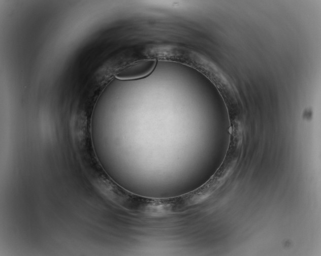 X0000103310760200808291429