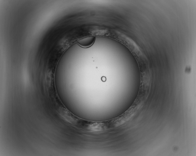 X0000103310761200808291429