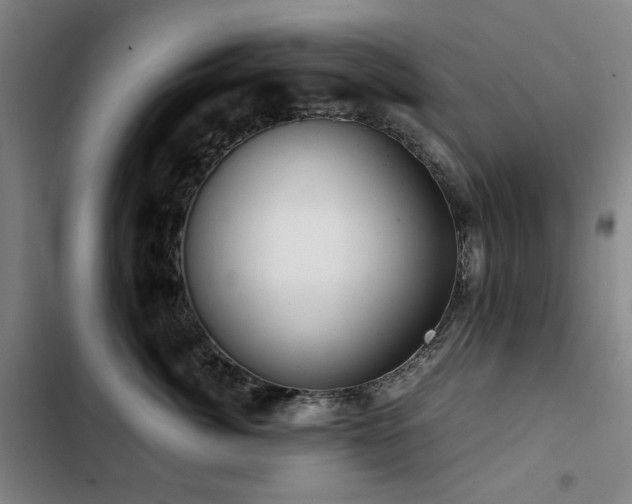 X0000103310764200808291429