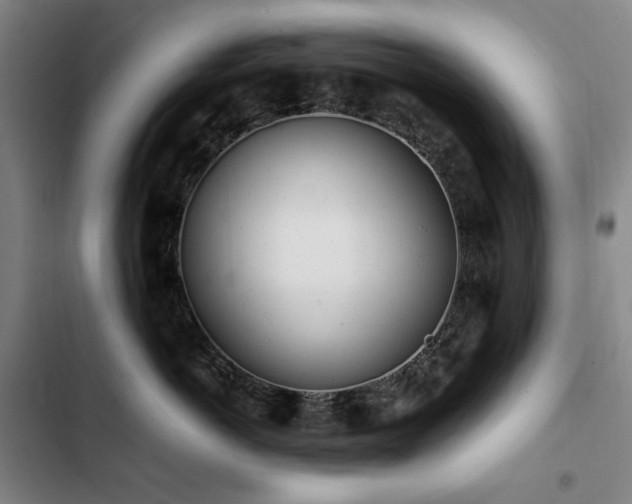 X0000103310766200808291429