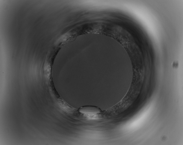 X0000103310767200808291429