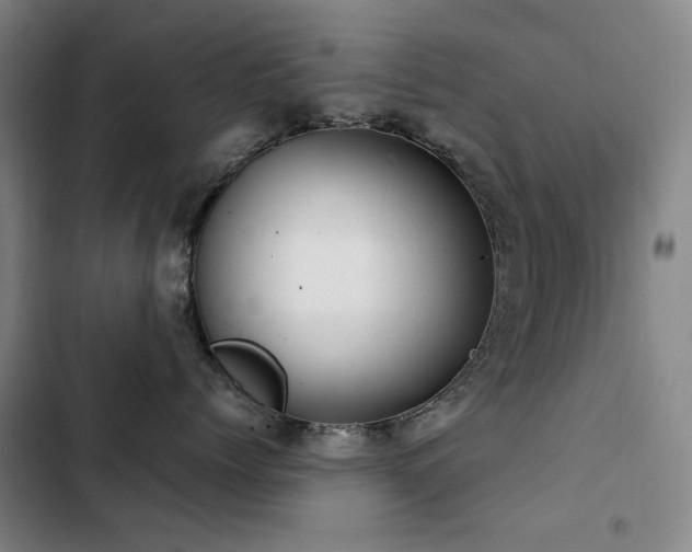 X0000103310768200808291429