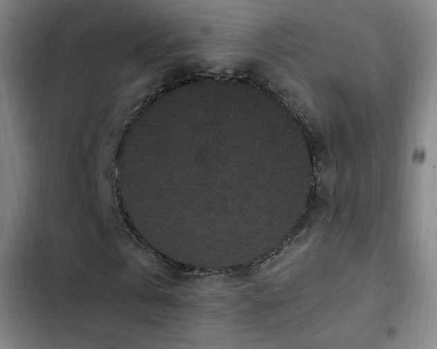 X0000103310769200808291428