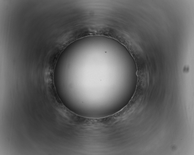 X0000103310770200808291428