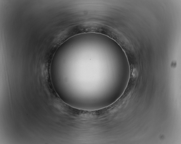 X0000103310771200808291428