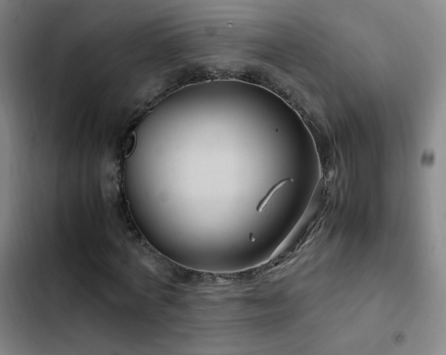 X0000103310772200808291428