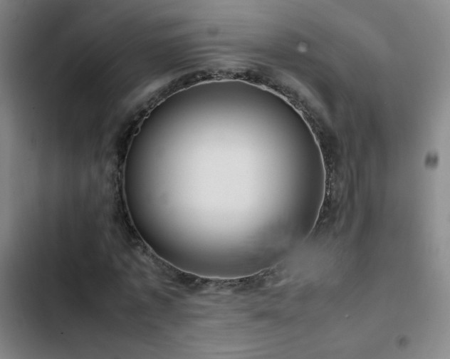 X0000103310773200808291428