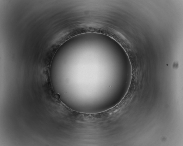 X0000103310774200808291428