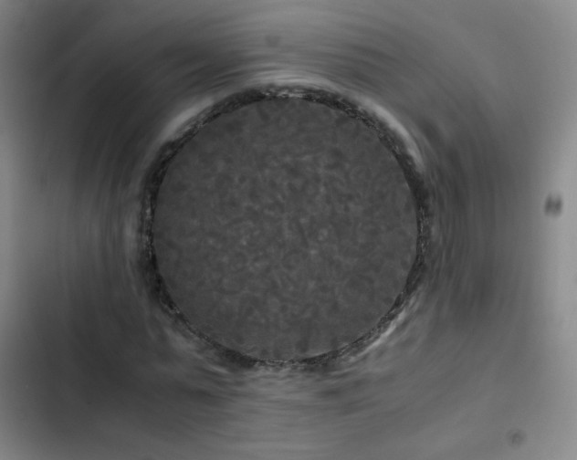 X0000103310775200808291428