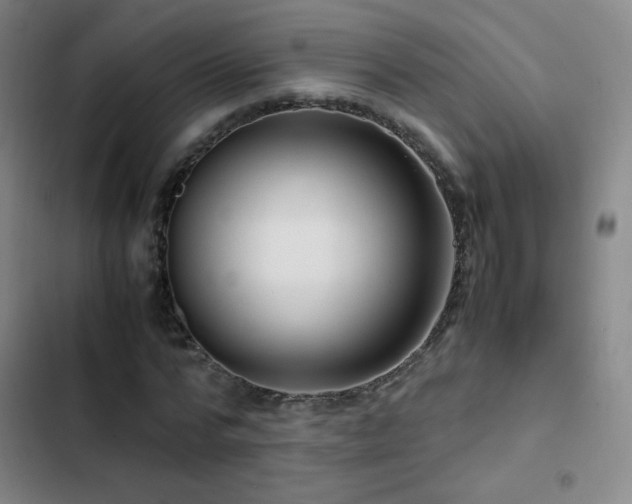 X0000103310776200808291428