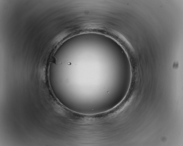 X0000103310777200808291428