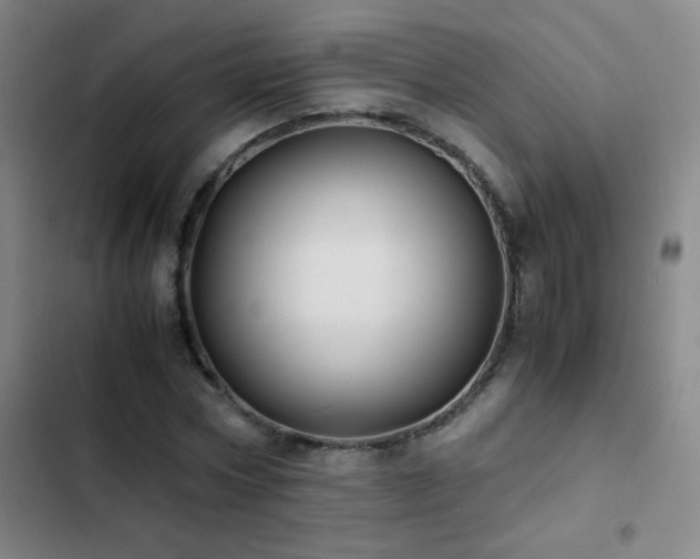 X0000103310778200808291428