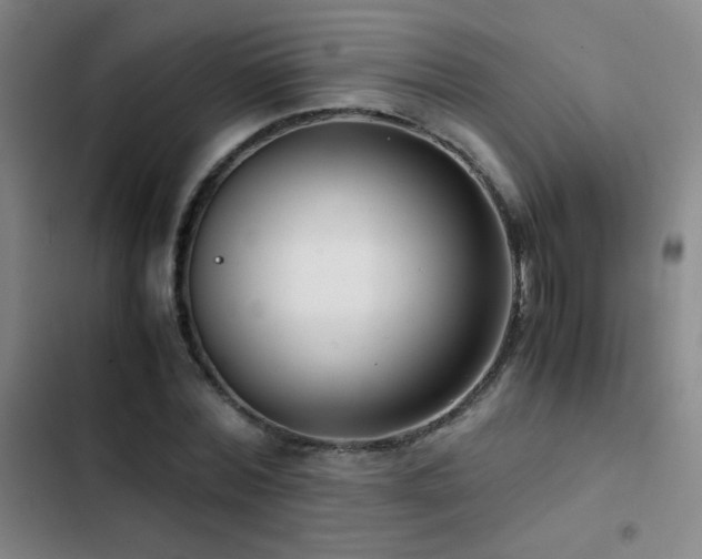 X0000103310780200808291428