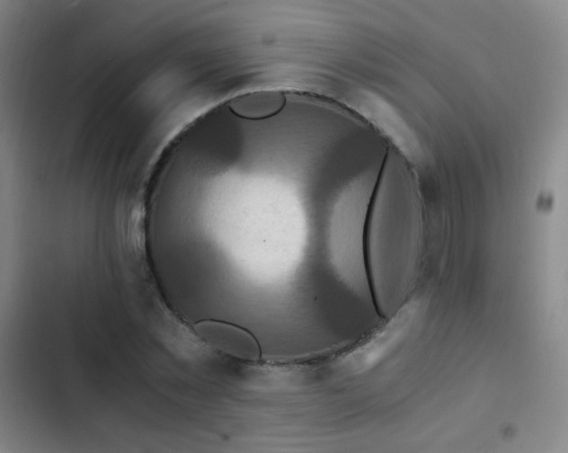 X0000103310781200808291428